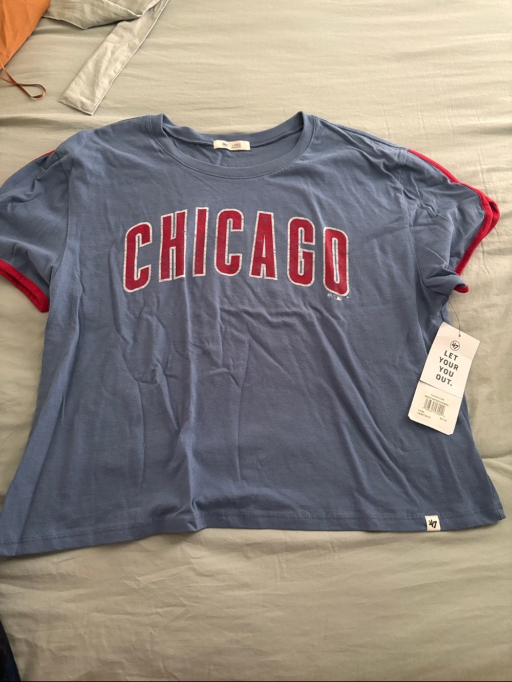 Chicago Graphic Ringer Tee in Light Blue with Red Trim